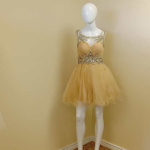 Aspeed Dresses & Skirts - Aspeed size x-small homecoming dress